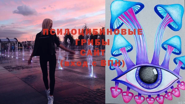 гидра Балахна