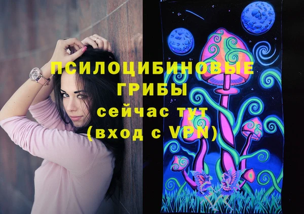 гидра Балахна